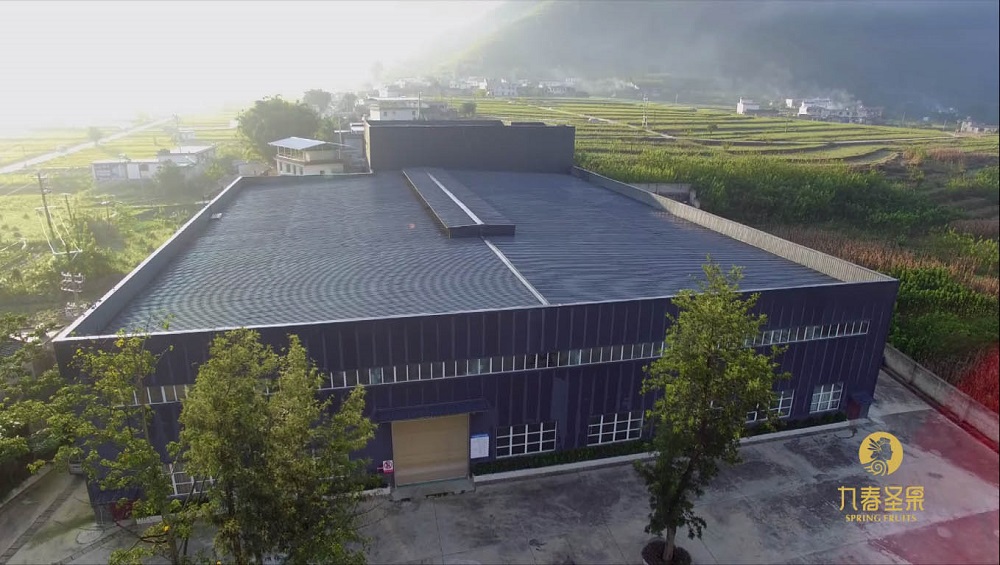 果桑基地建设